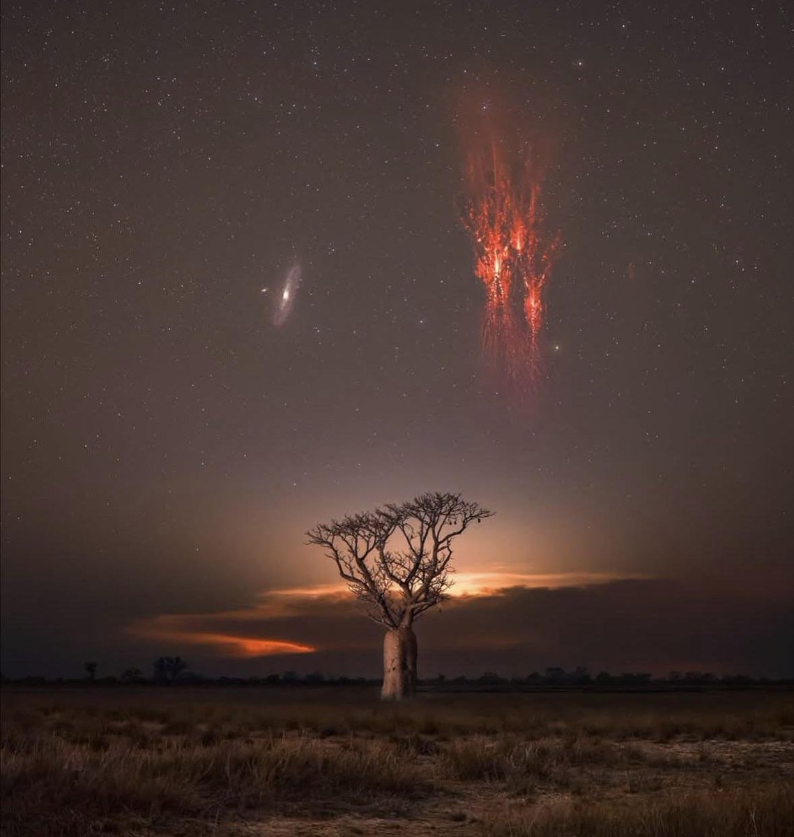 MAstronomers's tweet photo. Photographer JJ Rao captures Red sprites and the Andromeda Galaxy in a single photo over Kimberley, Western Australia https://t.co/iCYacT68Eh