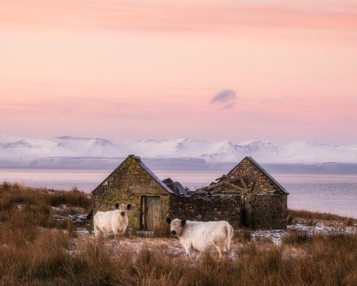 Cat Rescued from Substation Fire - July 2018 (Story \u0026 Video) - Banks Fire  District #13, OR, image size:1200x960