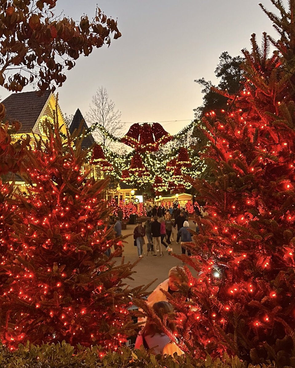 A vision in Christmas style at <a href="/Dollywood/">Dollywood Parks & Resorts</a> from last year!