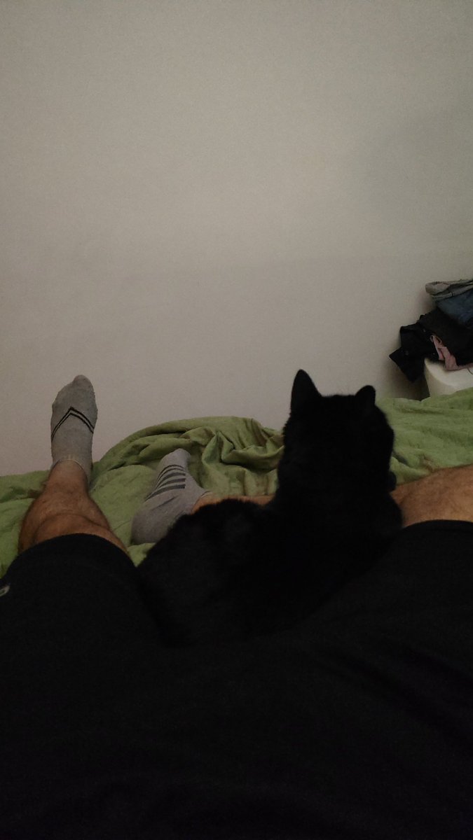 Chongo's legs 🦵 (with a cat 🐱💜)
#Simona