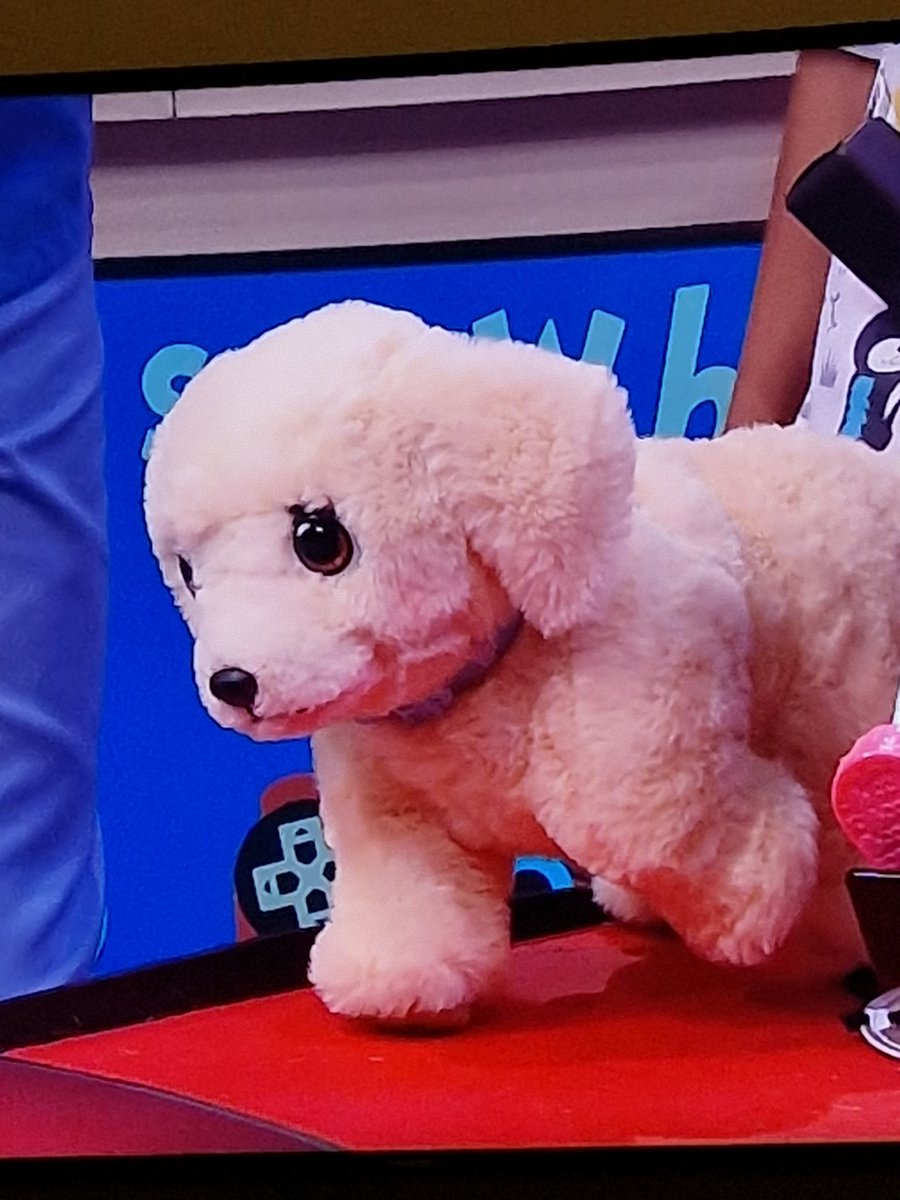 Didn't expect them to put down a dog during the Toy Show this year, but whatever keeps the kids happy I guess...

#LateLateToyShow