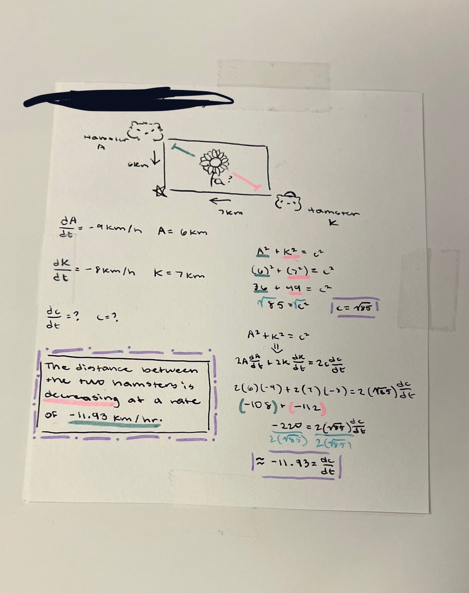 sem ! kohangst when 💞 tweet media