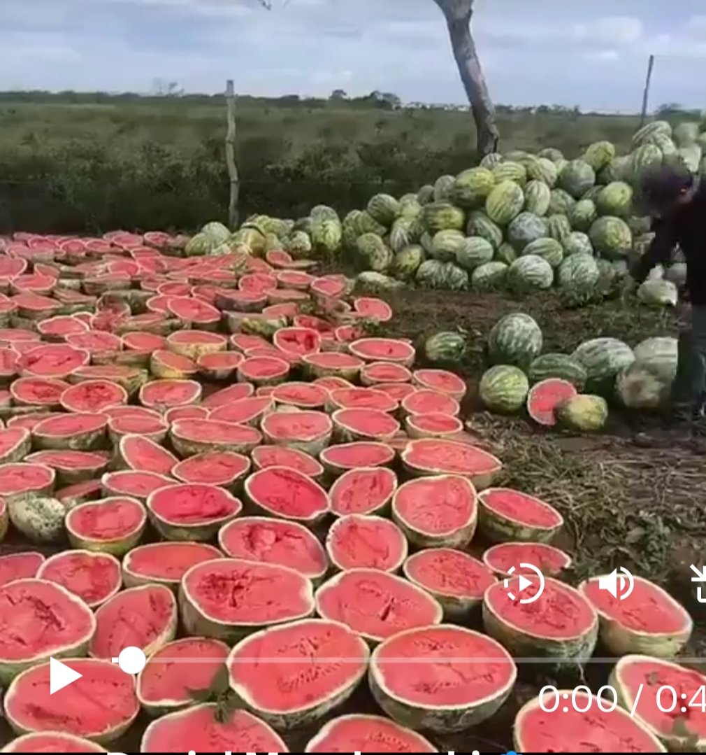 Guilbardo Zúñiga Ayala tweet media