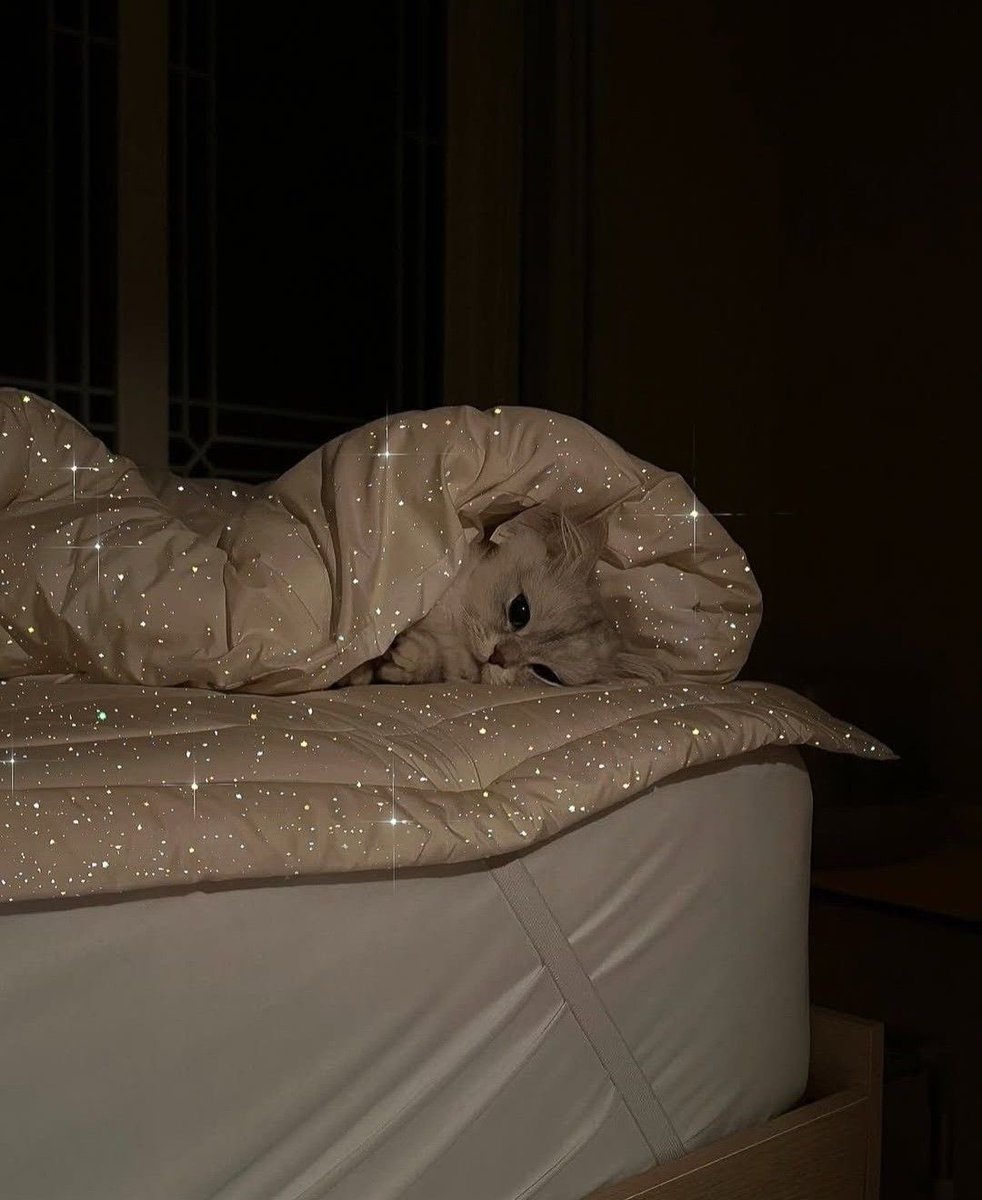 بحر 🌊 (@butterflless) on Twitter photo 