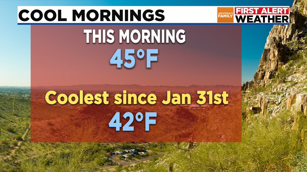 Pete Mangione tweet media