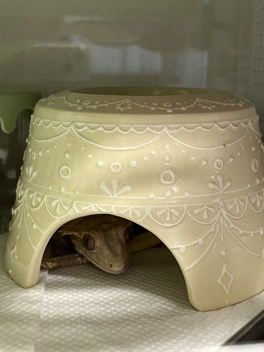 クレスママ🦎🎲4/11コウレプのチケット買った👍 tweet media