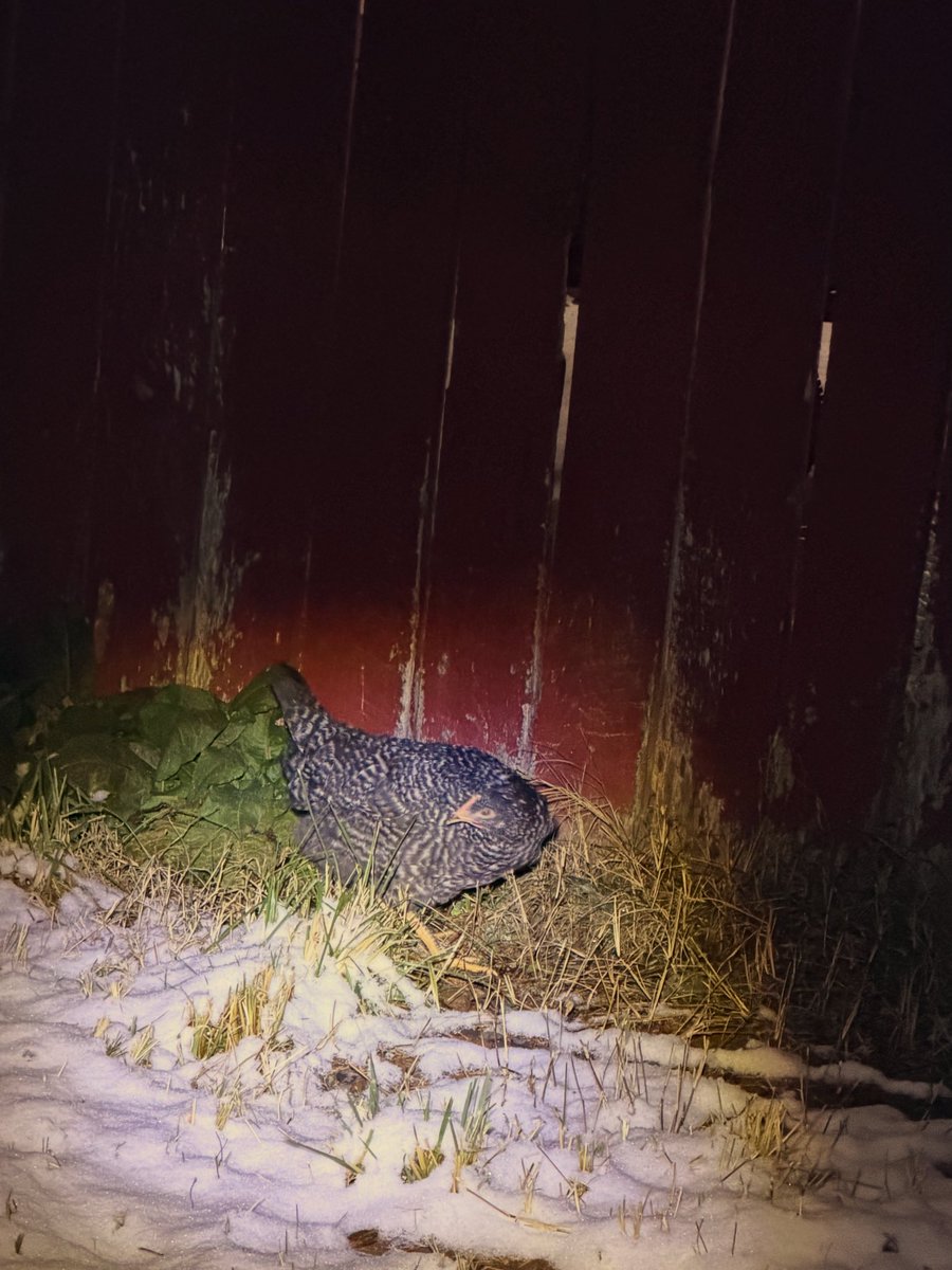 TheUberGuy tweet media