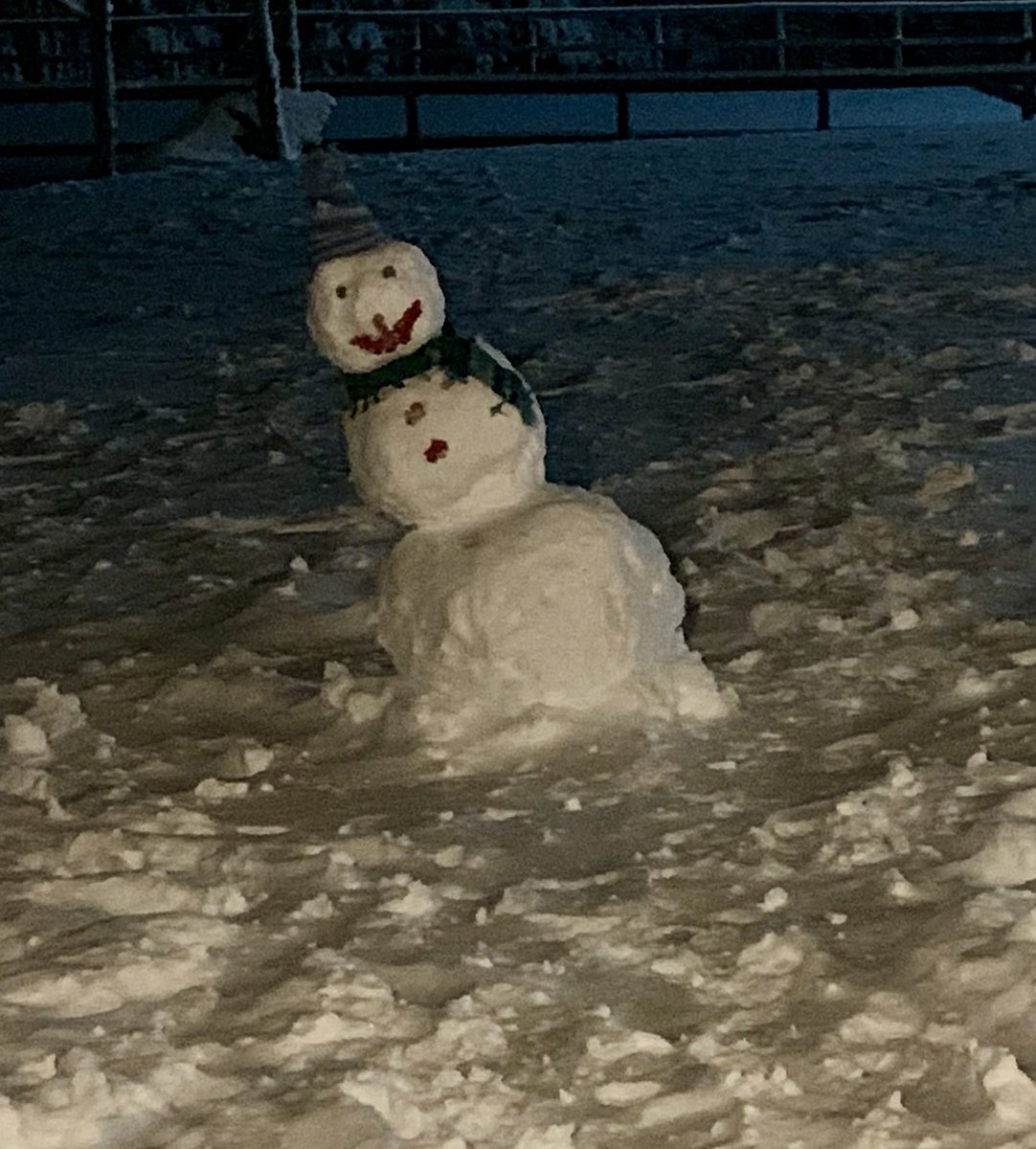 Well our snow-woman (made with my Granddaughter) has developed a pretty bad starboard list.   Don’t think she’ll make it through the night.   Strong winds and -17c didn’t help.