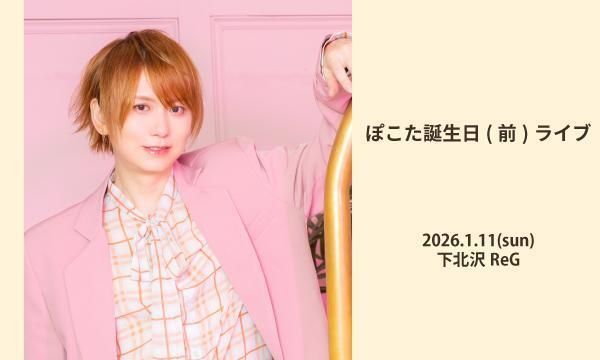 ぽこた (@pokotaegamyer) / Posts / X