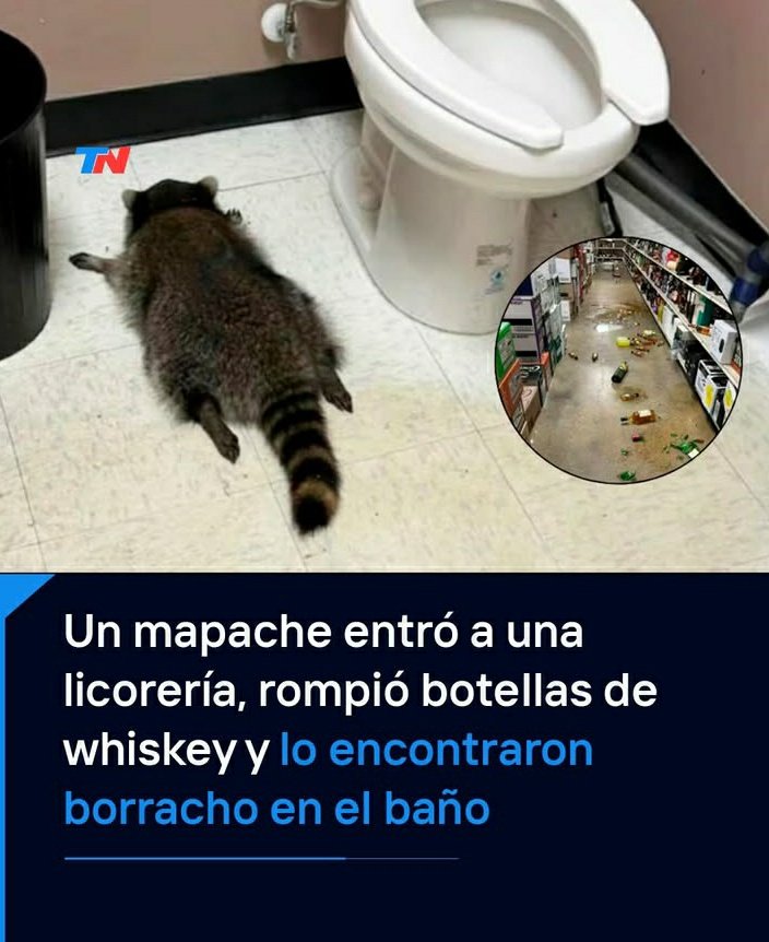MickyFantasyCh's tweet photo. @RakkunAlt y que hiciste anoche... https://t.co/AU1rJX6zuS