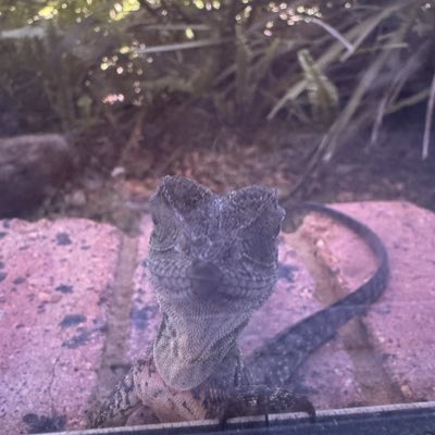 dmwright571's tweet image. #NewProfilePic