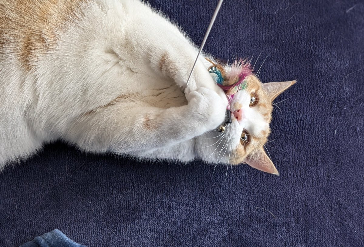 ＊＊ともりん＊＊ページ ともりん (@eizh2q3MvTVKBMe) / Posts / X