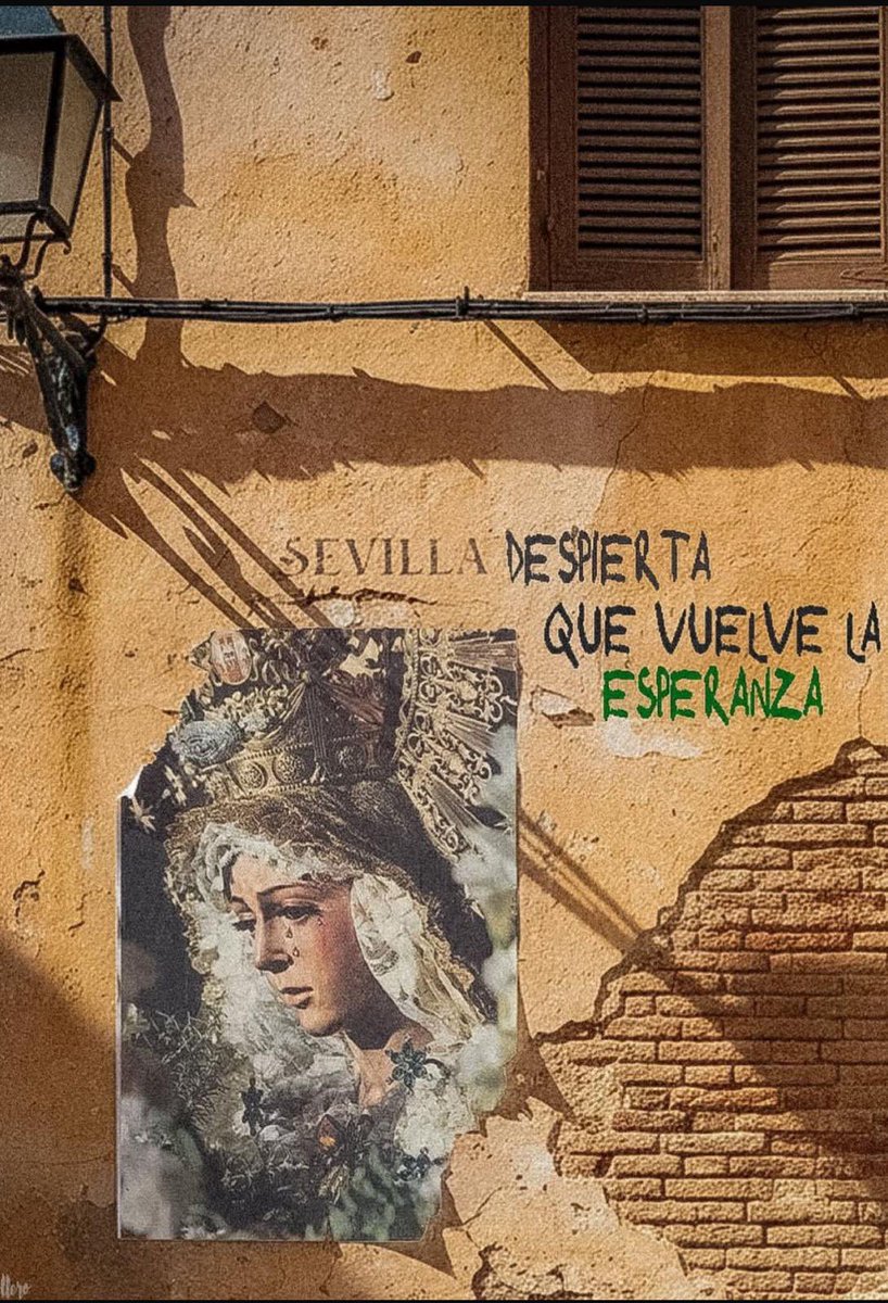 Ahora sí empieza el #Adviento