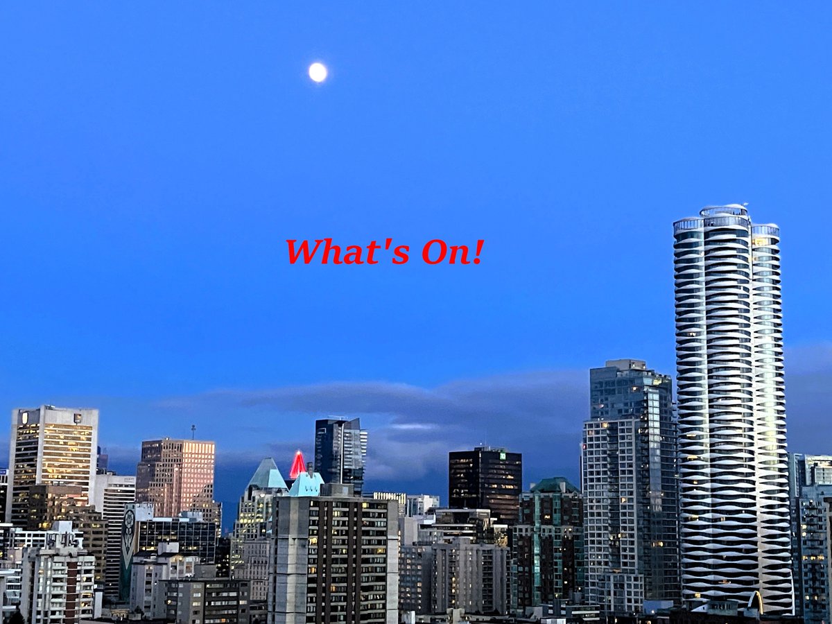 Gayvan.com tweet media