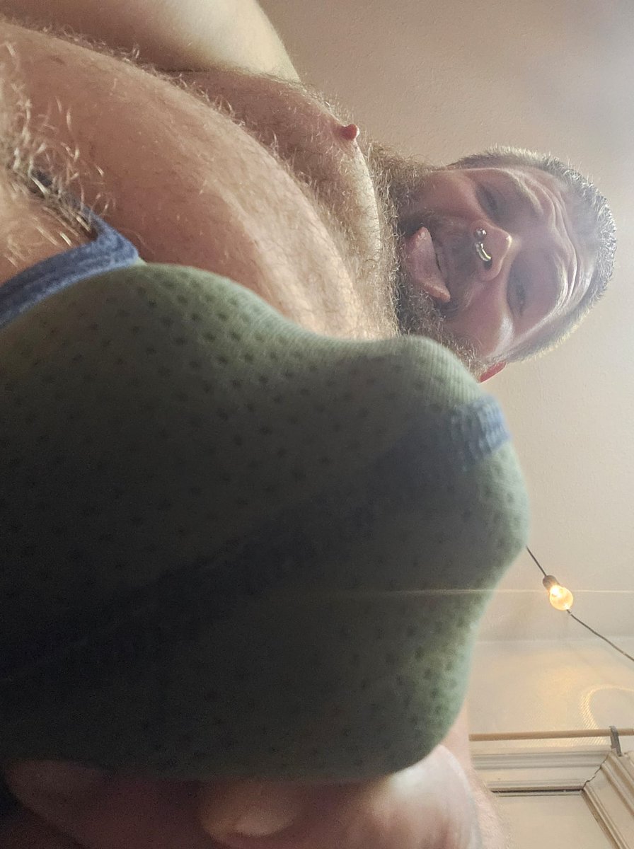 KiwiCub31 tweet media