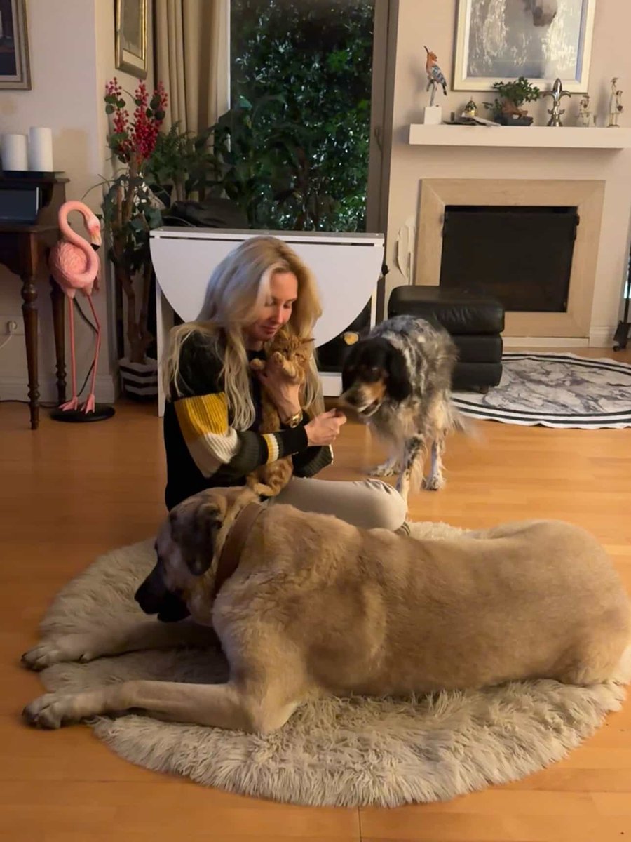 Meltem Acet tweet media