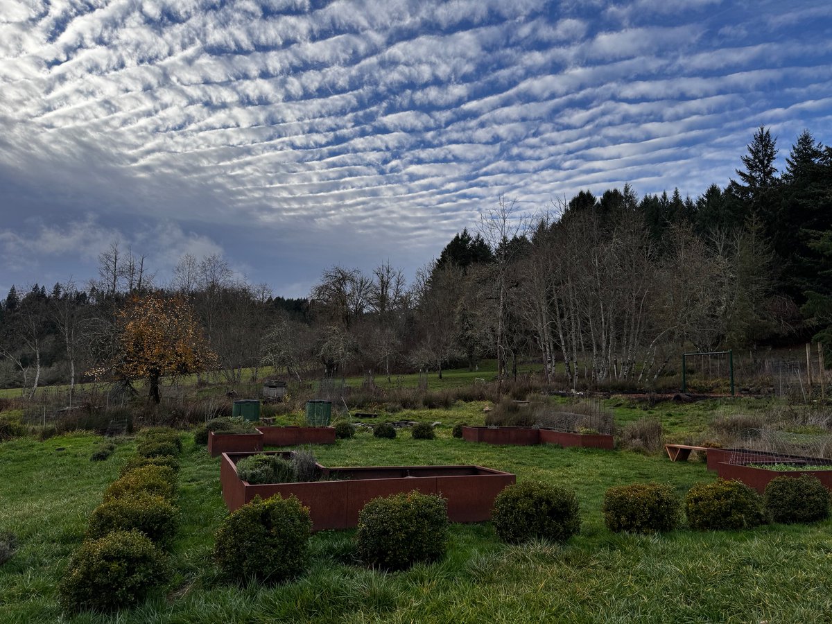 Here's the garden we made. https://t.co/2AVpgCjDpU