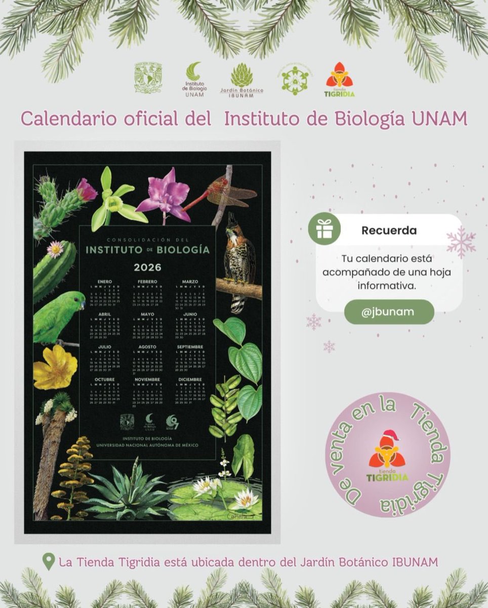 JardínBotánicoIBUNAM tweet media