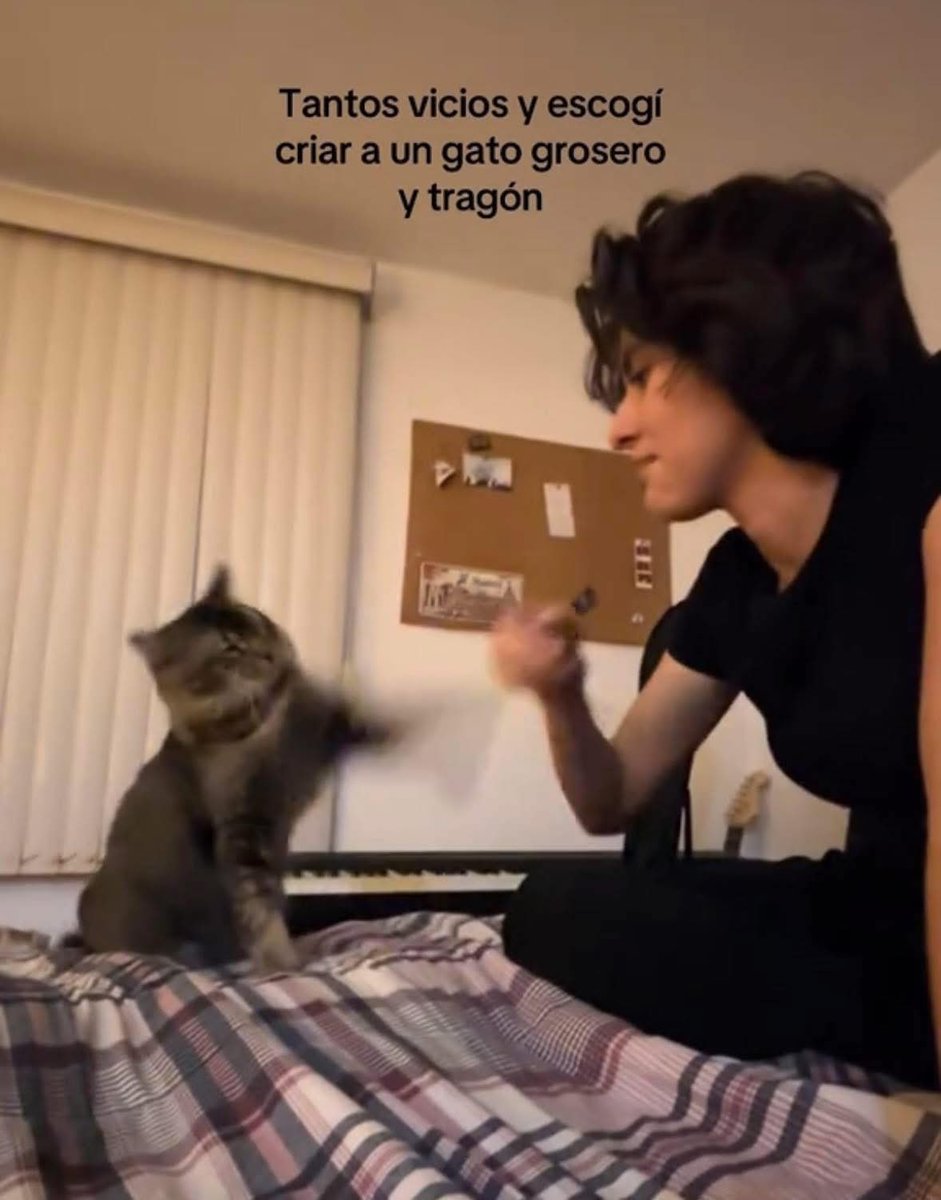 DiloConGatitoz's tweet image. 