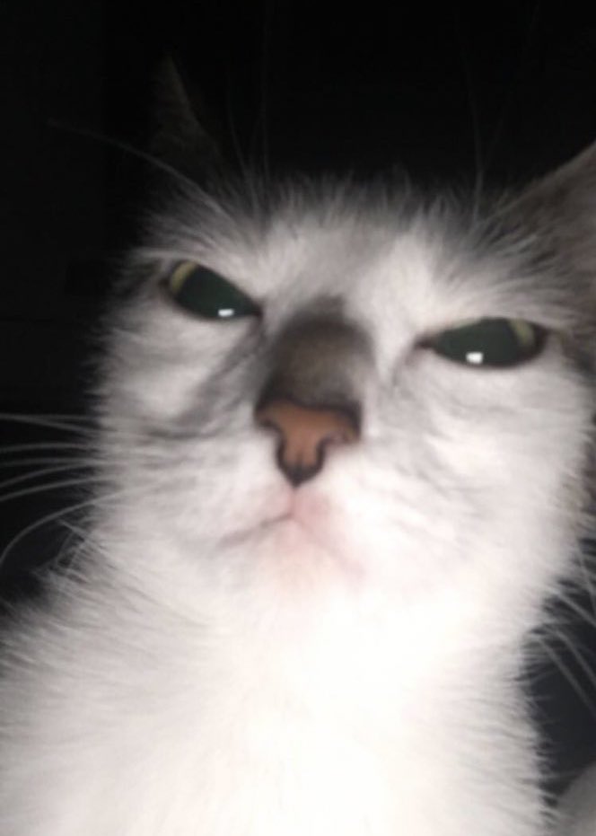 Warum müssen die coolsten und interessantesten Menschen immer so weit weg wohnen grr