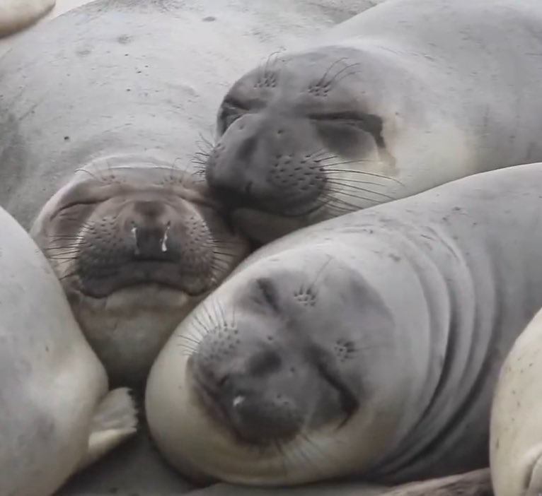 Near-Perfect triple stack spotted.