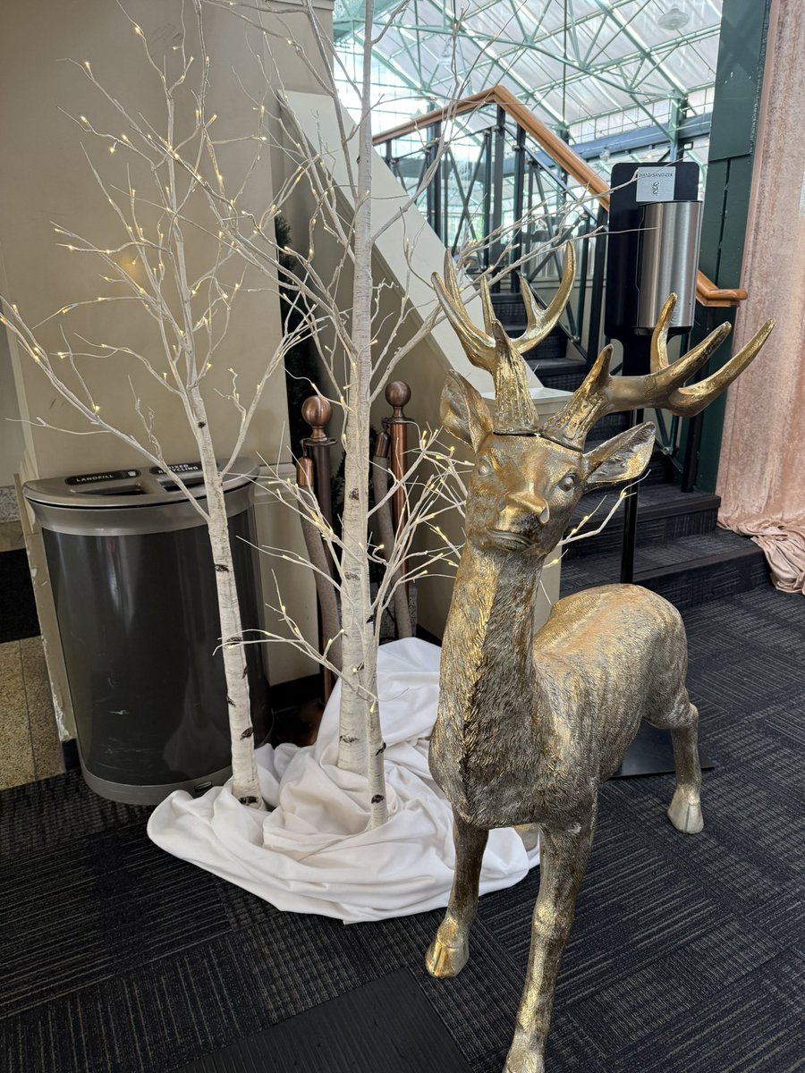 Fiona Wilson tweet media