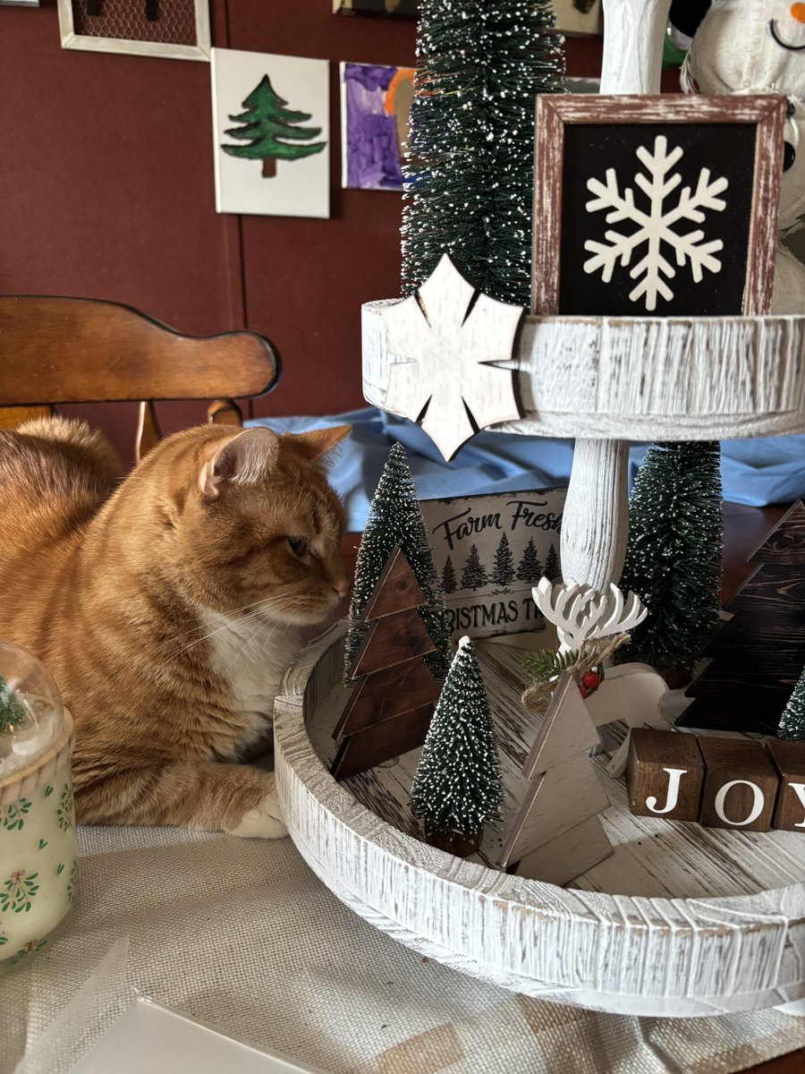 🐈🎄