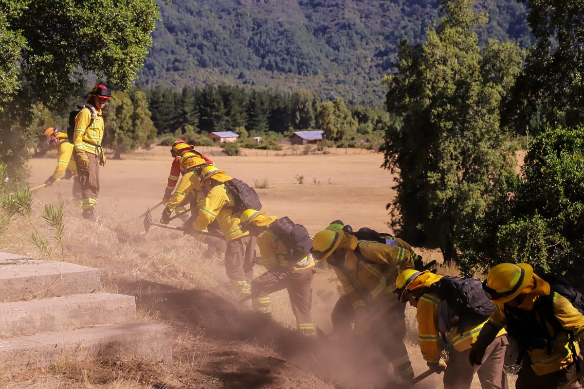 MinagriCL's tweet photo. 🚫🔥Mayor colaboración con las comunidades para prevenir incendios forestales

👉 En el sector Juan Amigo, en Linares, la ministra Ignacia Fernández junto al delegado de @DPRMaule, Humberto Aqueveque, equipos de @conaf_minagri y autoridades locales conocieron el trabajo del programa Comunidades Preparadas.

🏡Esta iniciativa permite que vecinas y vecinos de las zonas de interfaz urbano - rural se puedan capacitar sobre prácticas para reducir el riesgo de incendios forestales y mantener sus casas seguras, con limpieza de techos y canaletas de hojas secas, eliminando vegetación alrededor de las viviendas, manteniendo caminos despejados, construyendo cortafuegos, entre otras medidas.