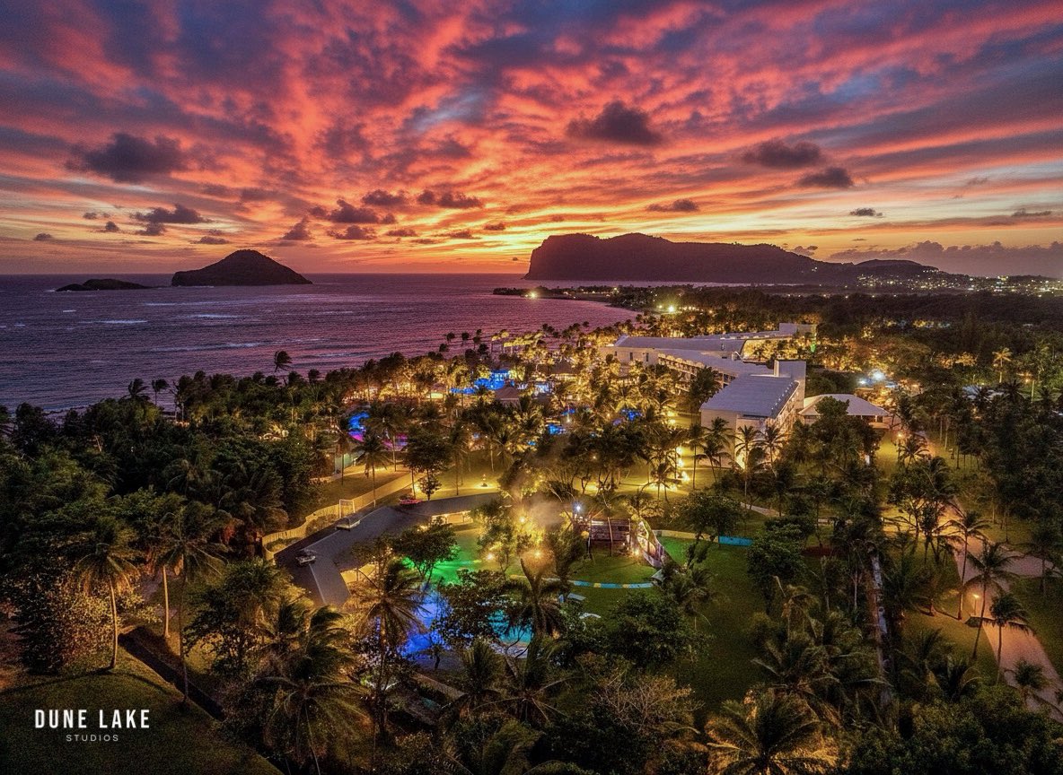 David Warren tweet media