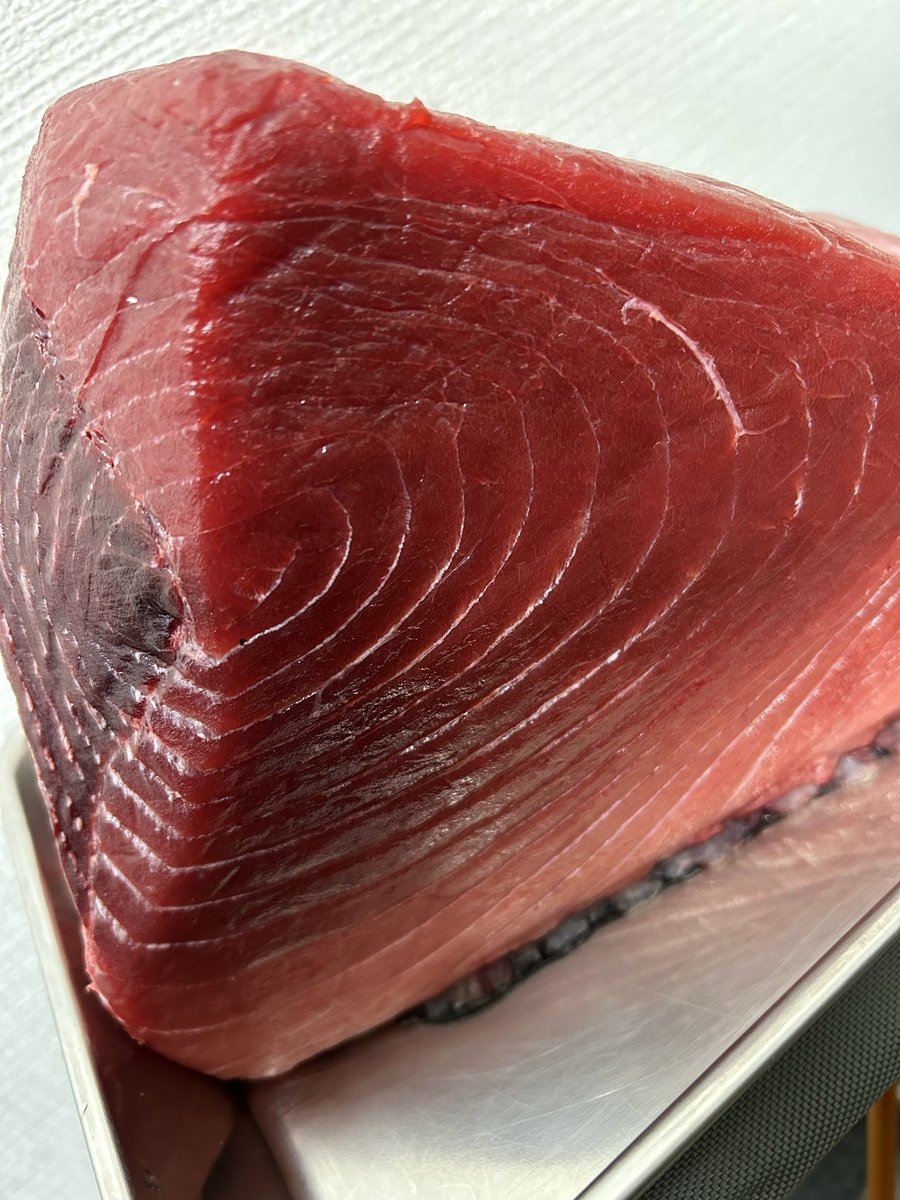 魚虎 うおとら (@uotora2024) / Posts / X