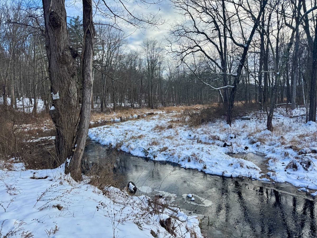 Chris Arnade 🐢🐱🚌 tweet media