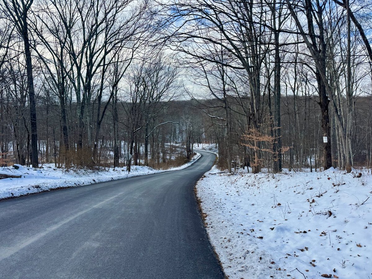 Chris Arnade 🐢🐱🚌 tweet media