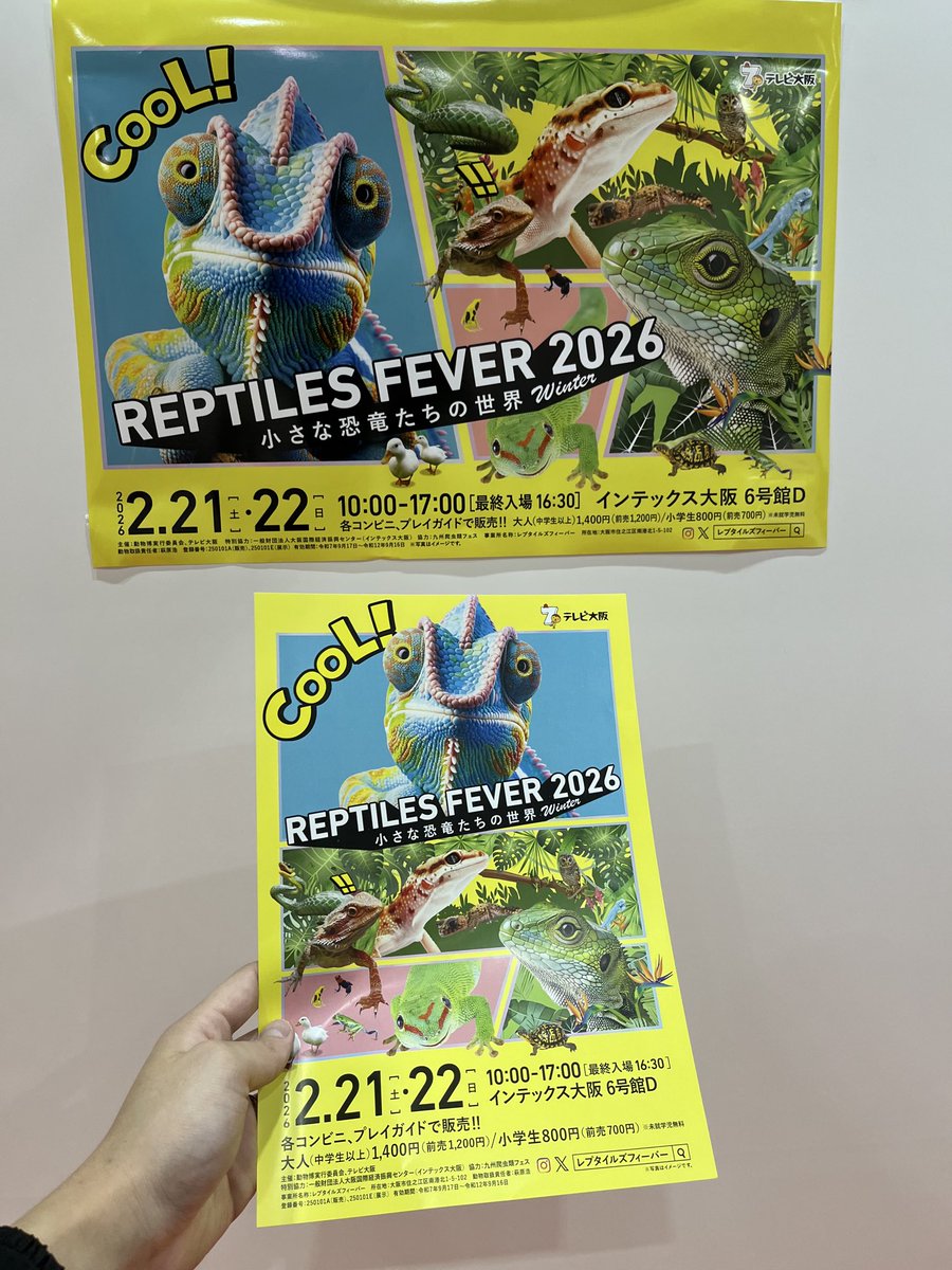レプタイルズフィーバー (@tvo_REPTILES) / Posts / X