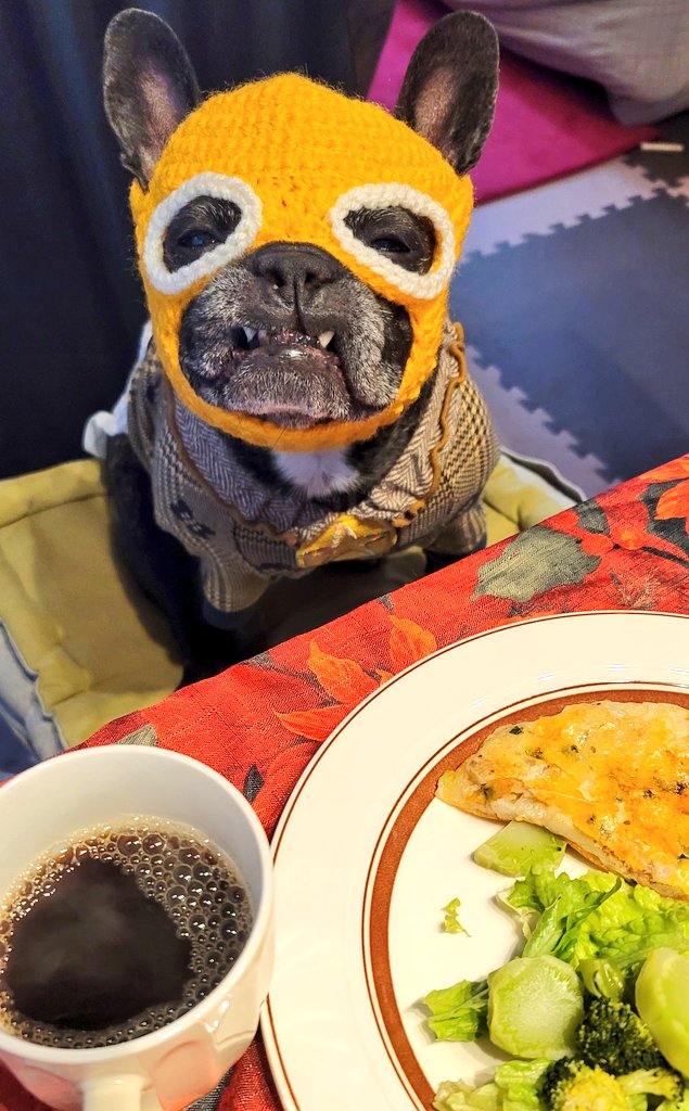 おはむきミーゴ‼️‼️
寒々土曜の朝でしゅよ🌵
ポテトガレットとアヤミーゴブレンドめちあがれ☕～💓♥️❤️～