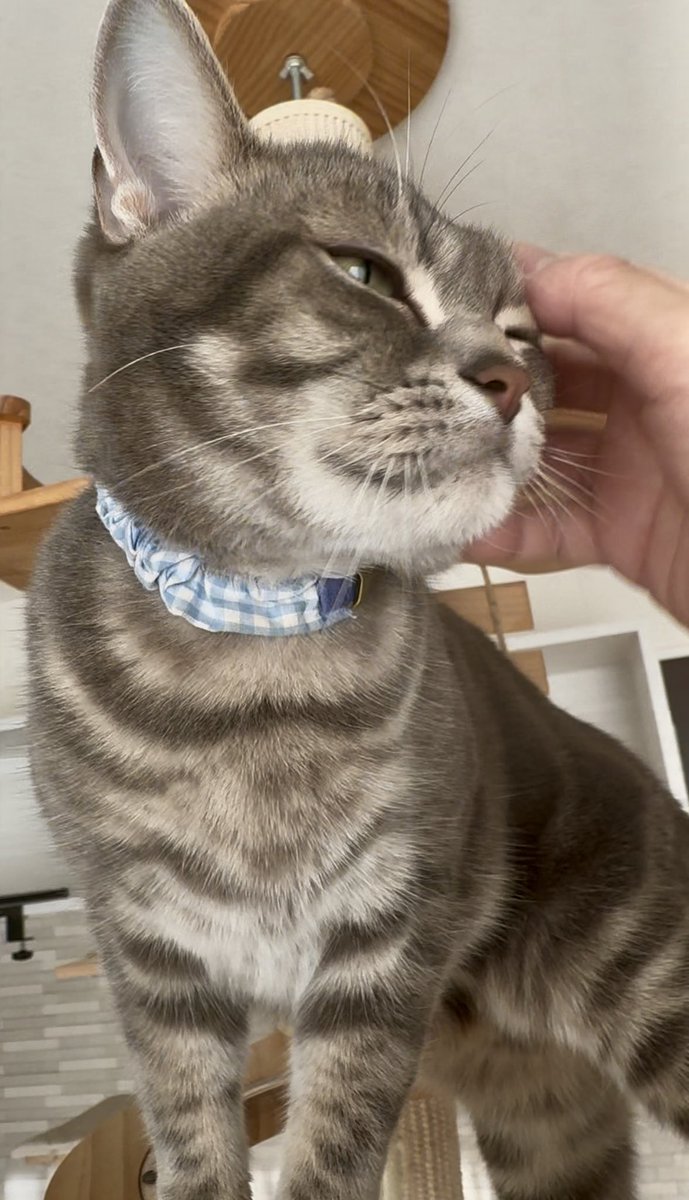 moka (@Moka0527Ramu) / Posts / X