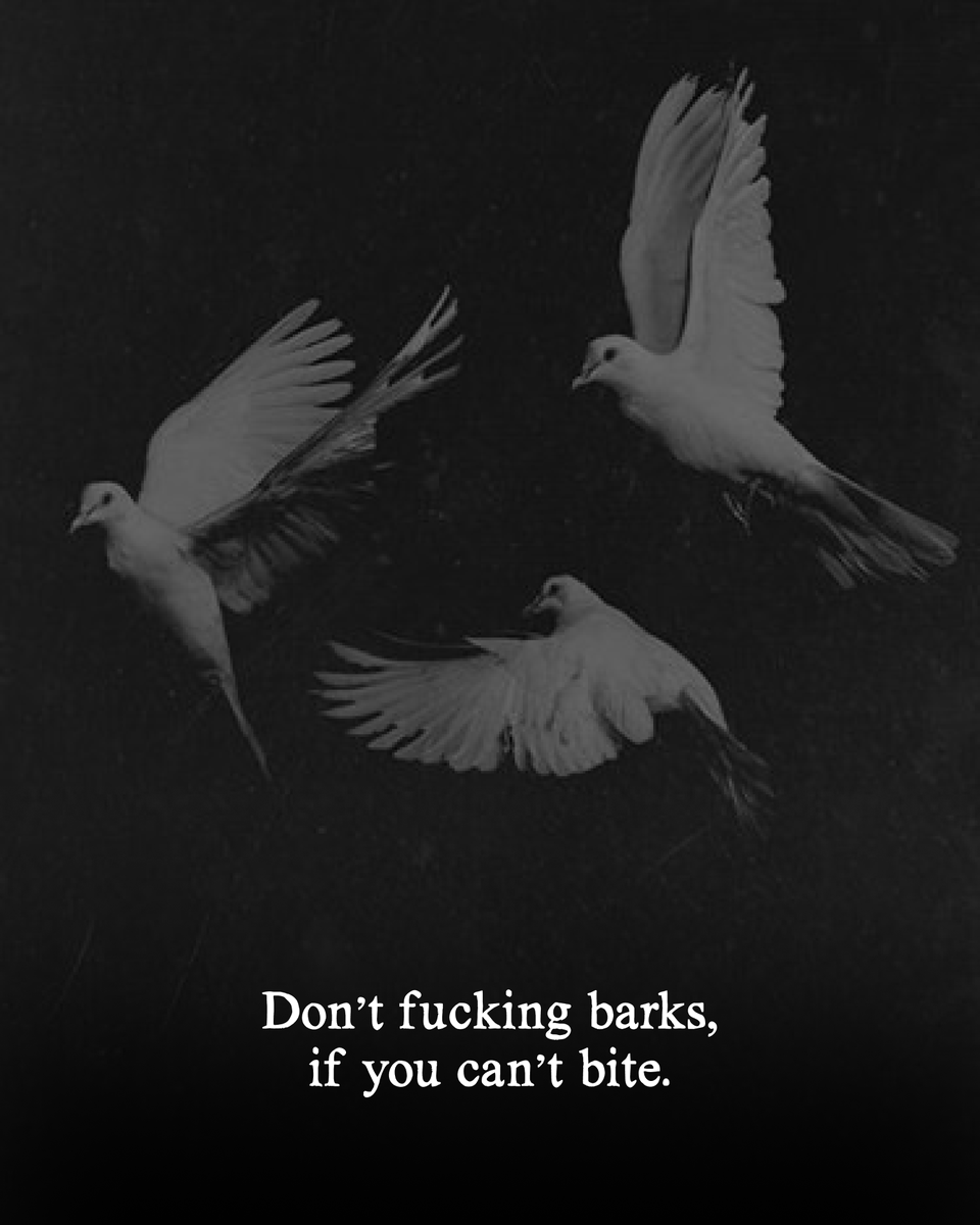 StoicRise's tweet image. 15 Hard Truths of Psychology and Life:

1.