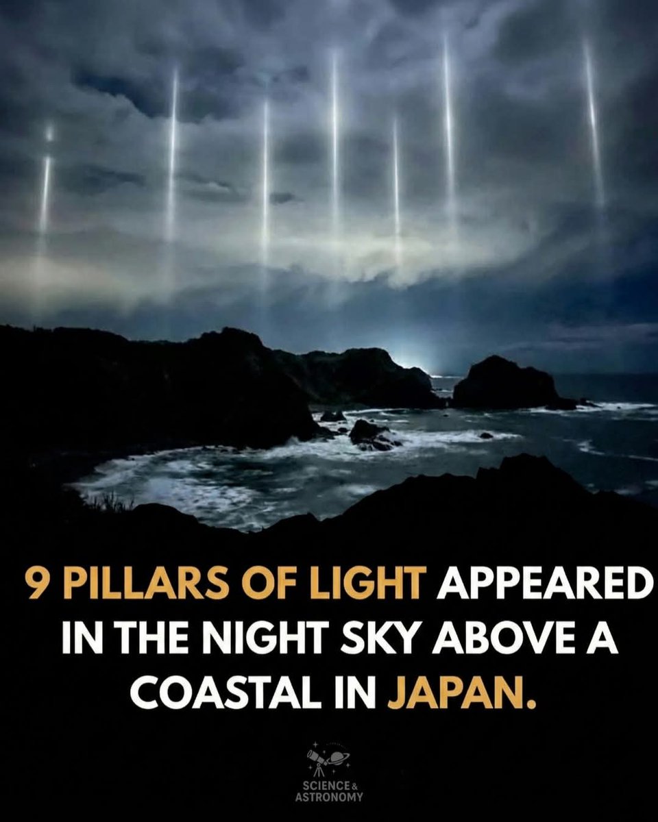 Science And Nature tweet media