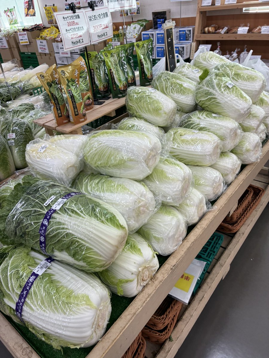 おはようございます🌞本日は八王子産の白菜、大根、ブロッコリー