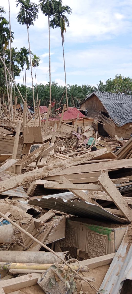 I wrote this to send an SOS message to the world. Please pay attention and help nearly a million of victims of a climate tragedy affecting countries in the Indian Ocean. Sumatra---with a century of severe environmental crisis--is the most impacted nature.com/articles/d4158…