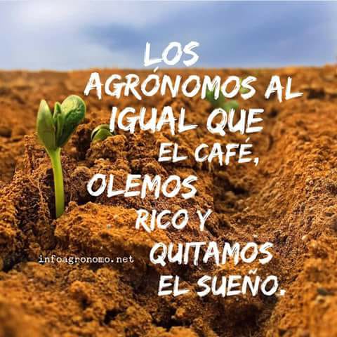 Ganadería y Agricultura tweet media