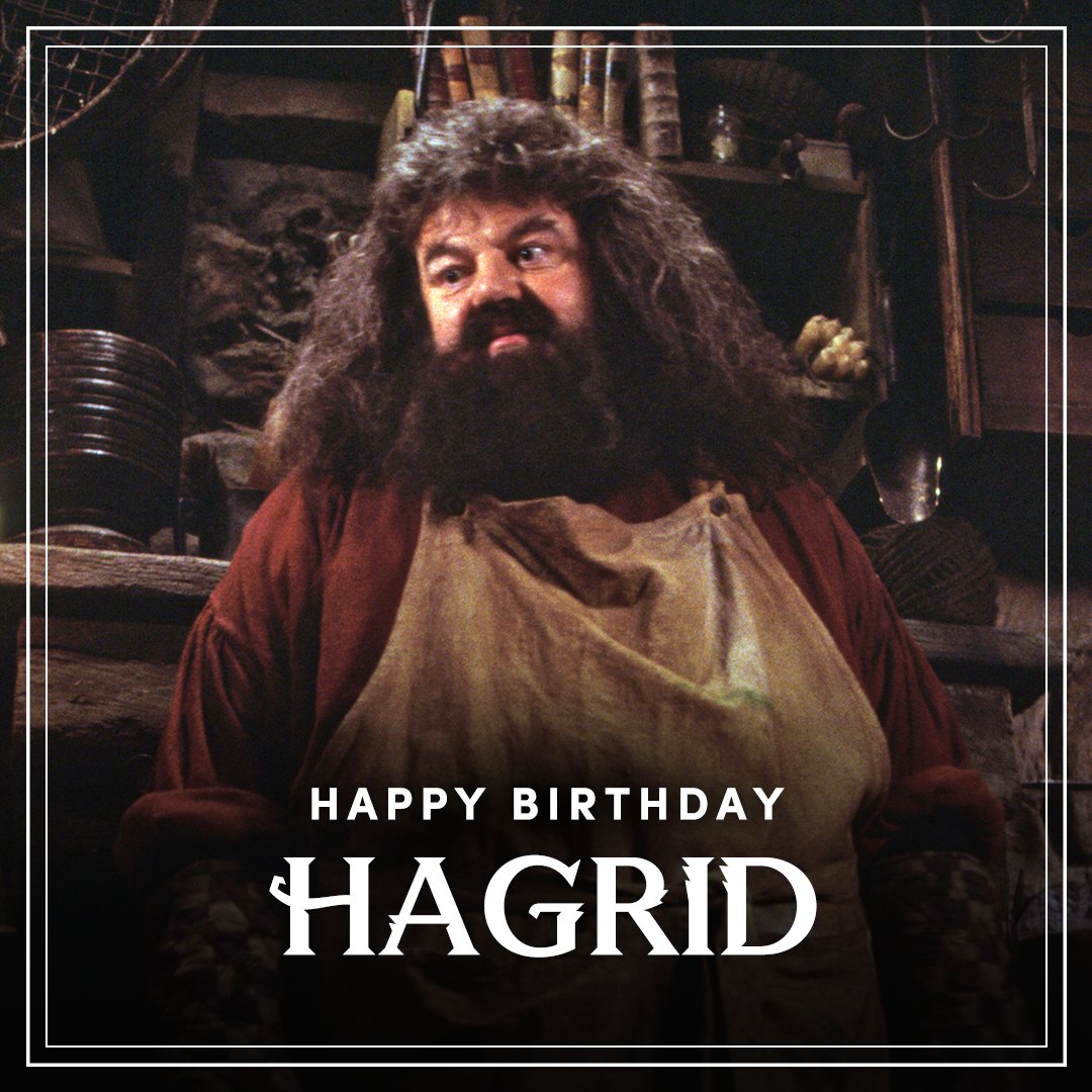 ハリーポッター ハリー・ポッター：クィディッチ・チャンピオンズ』Nintendo Switch