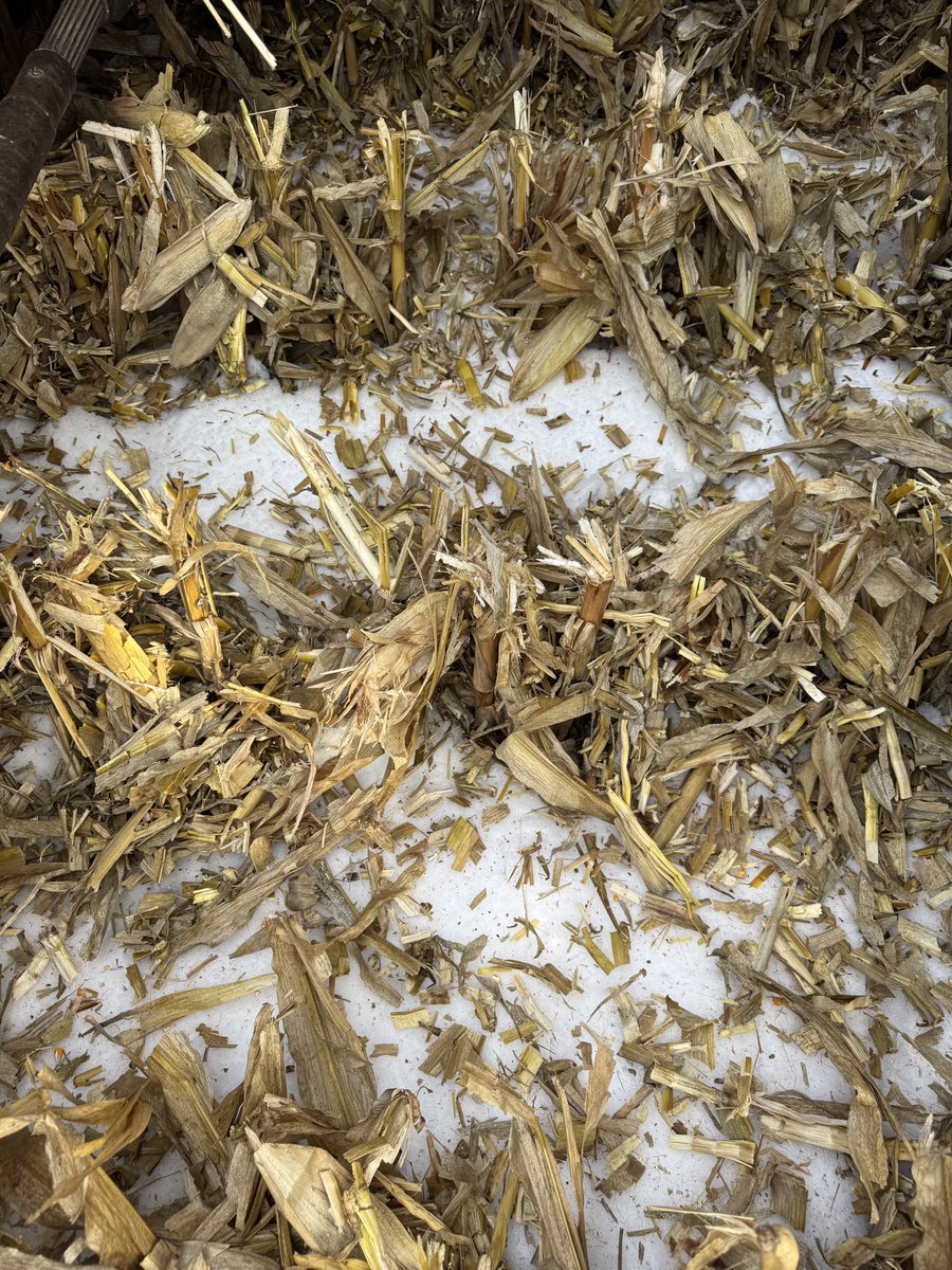 Gavin Spoor tweet media