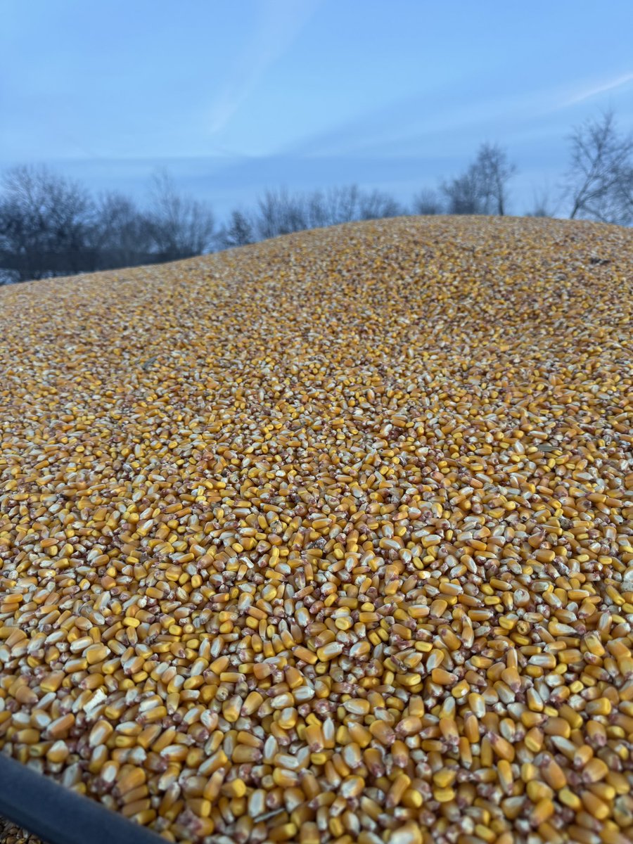 Gavin Spoor tweet media