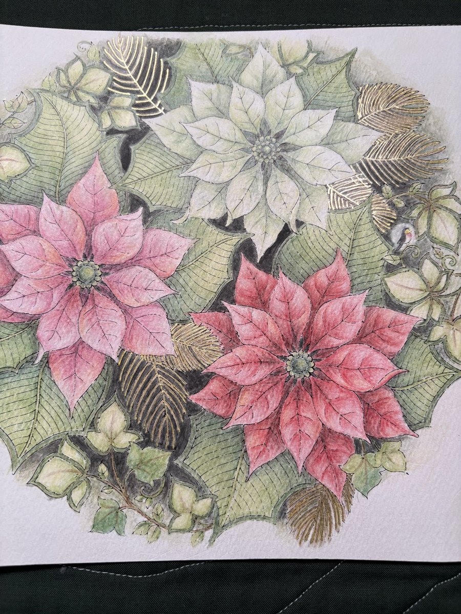 blgreen2000's tweet photo. #大人の塗り絵
#ジョハンナ・バスフォード
#JohannaBasford
#ジョハンナからの贈り物
#Christmas 
#色鉛筆
#水彩色鉛筆
#ネオカラー2 https://t.co/niAfIeHJSc