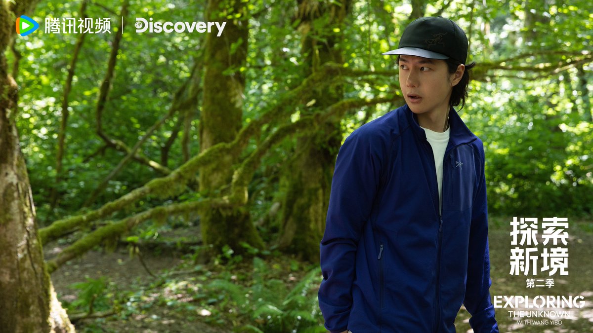 YIBO　確認ページ YIBO 確認ページ ZR13s OBD2 Code Reader with ABS/SRS/FIXASSIST