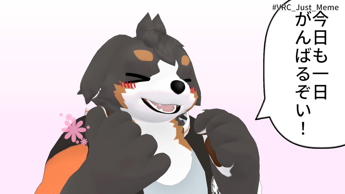 K*a様 ☘️超レア❤️根パンパン❤️ワサワサ❤️435Ash⭐️親株⭐️EVO おくなわ (@_okunawa) on X