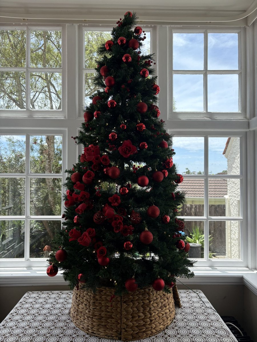 Getting into the Christmas spirit this Saturday.