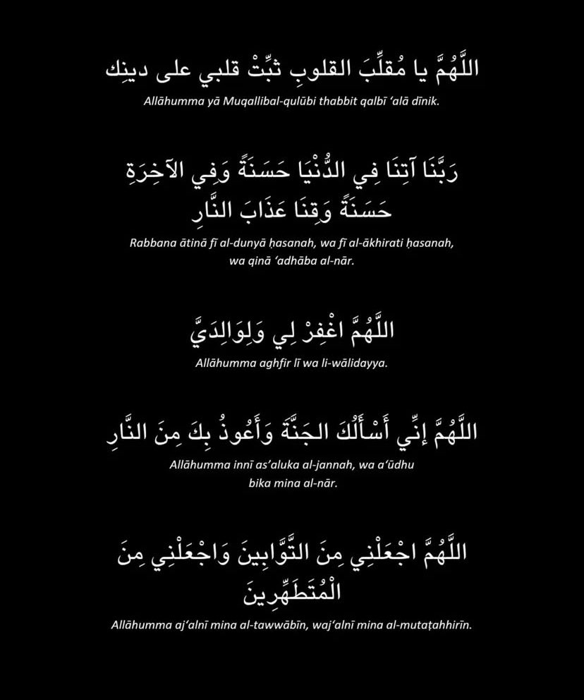 CEO سَ 🌼 tweet media