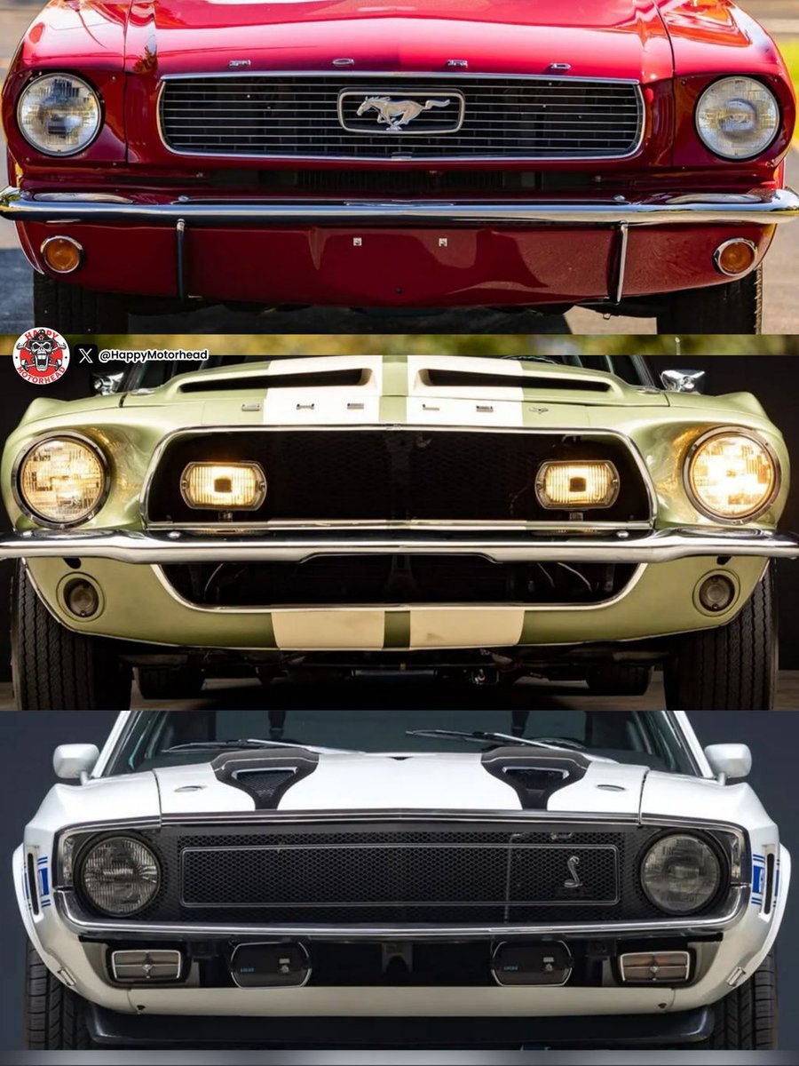 HappyMotorhead's tweet photo. ♦️🔸️💎🔸️♦️🔹️💎🔹️♦️🔸️💎🔸️♦️

Top, Middle, or Bottom ❓️ https://t.co/6VZe3EodLX