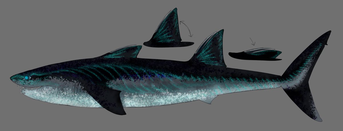 Evoincarnate's tweet photo. Since I have seen #thefutureiswild going around lately 
Bringing up my redesigned sharkopath 
if anyone knows the folks running the stuff 
Redesign Based on the sharkopath’s info given but using more unique shark quirks https://t.co/LjcIsMGysN
